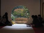 茶室越しの紅葉.jpg